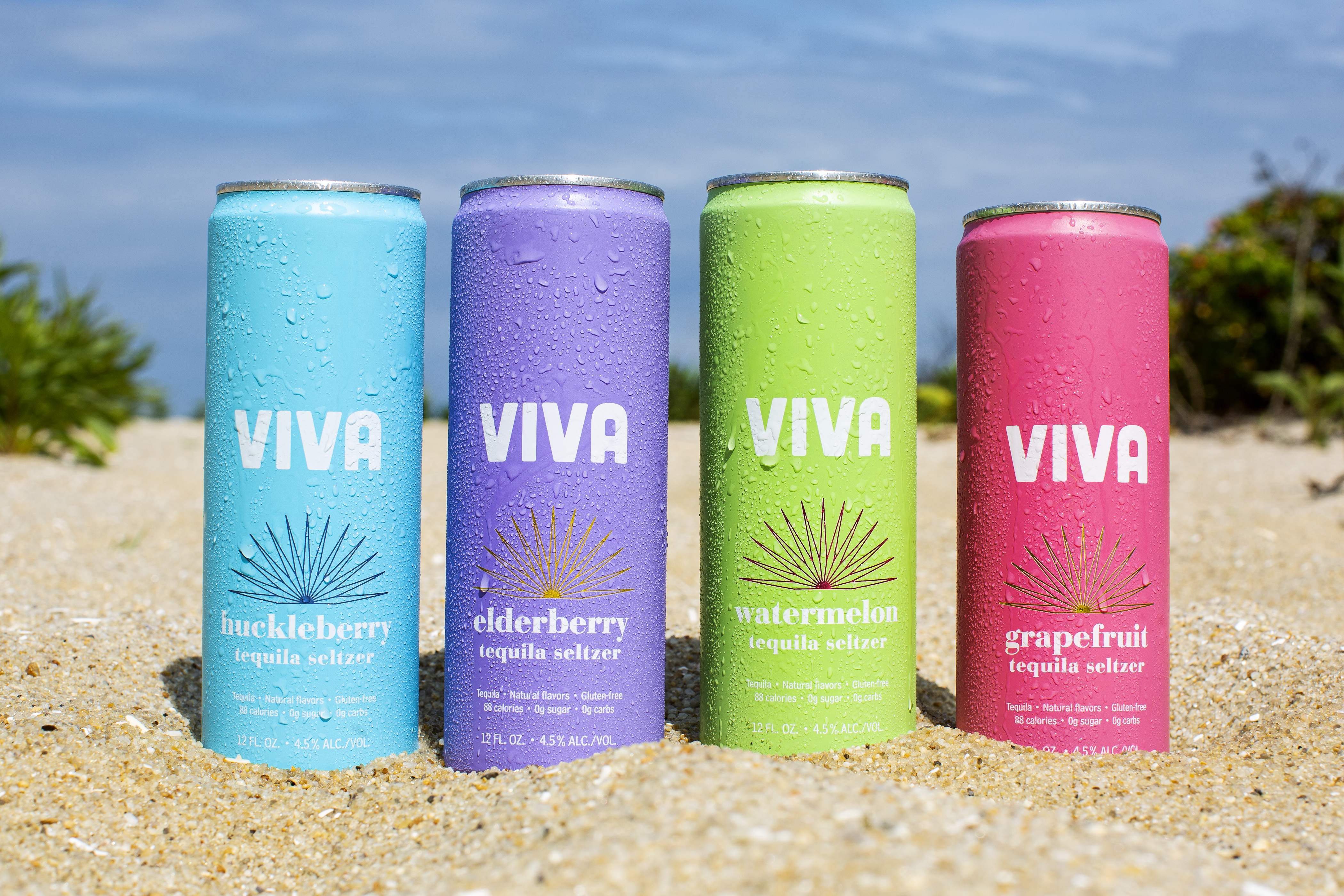 Viva Tequila Seltzer — hero image