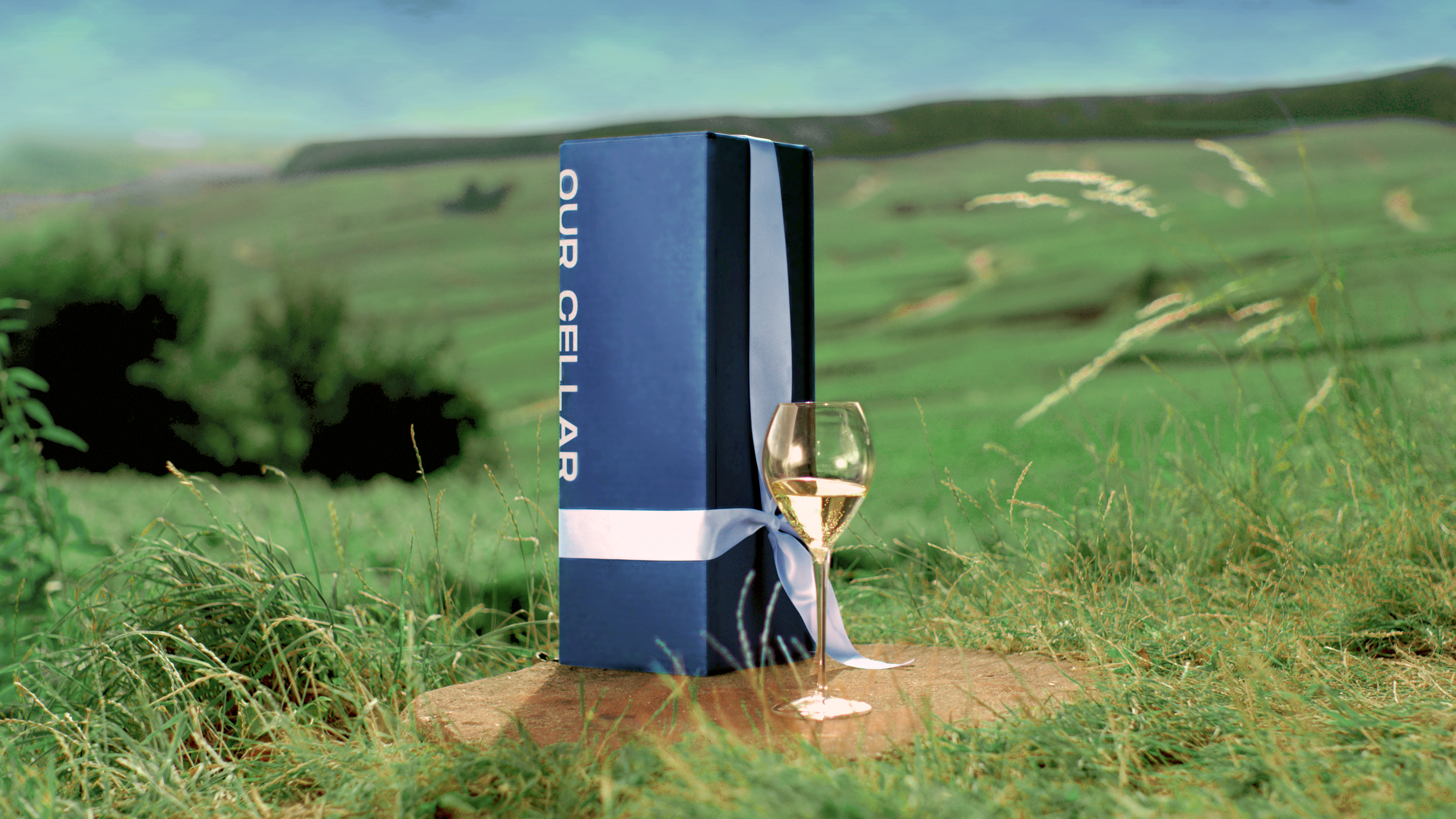 Our Cellar — cover image